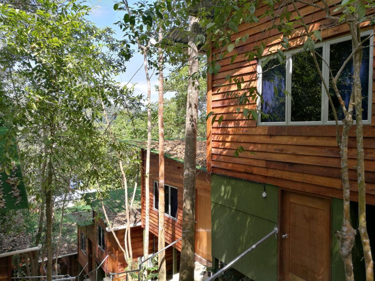 Utan Teluk Nipah Villa Pekan Pangkor Exterior photo